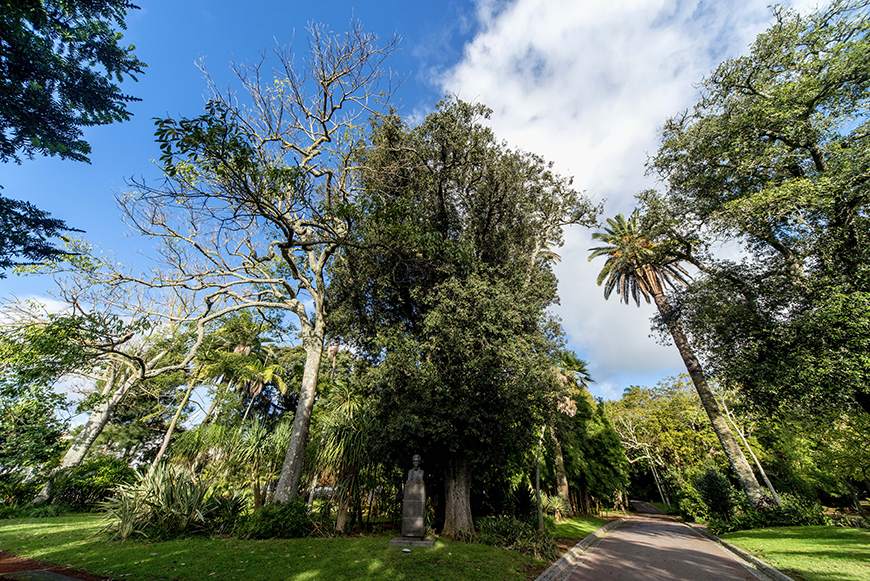 https://mdw-travel-data-us-east-1.s3.amazonaws.com/img/country/Portugal/Jardim-Antonio-Borges/img_03.jpg