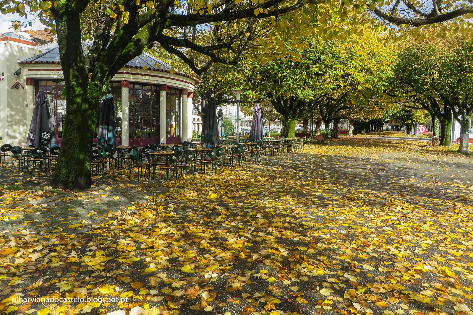 https://mdw-travel-data-us-east-1.s3.amazonaws.com/img/country/Portugal/Jardim-Publico-de-Viana-do-Castelo/img_01.jpg