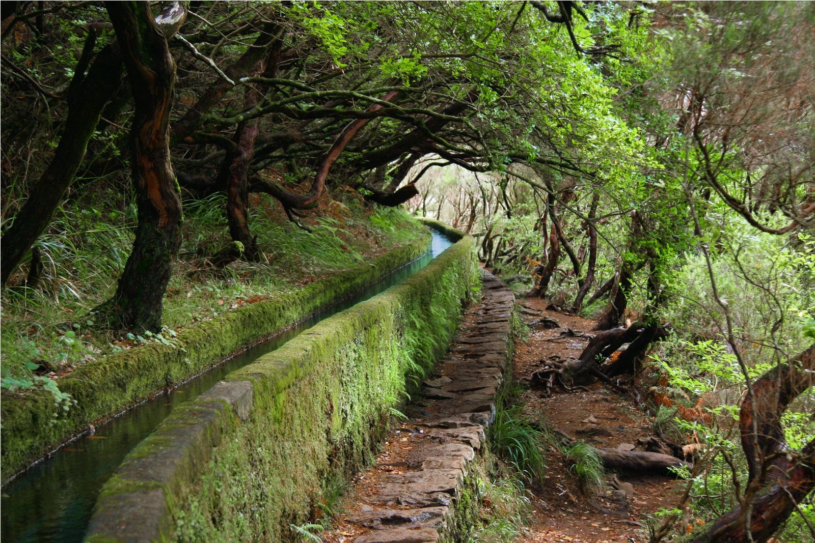 https://mdw-travel-data-us-east-1.s3.amazonaws.com/img/country/Portugal/Levada-Walks/img_00.jpg