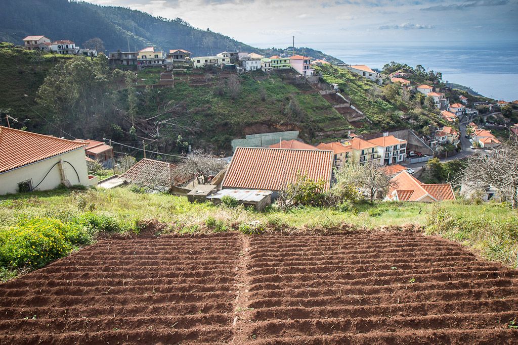https://mdw-travel-data-us-east-1.s3.amazonaws.com/img/country/Portugal/Levada-Walks/img_01.jpg