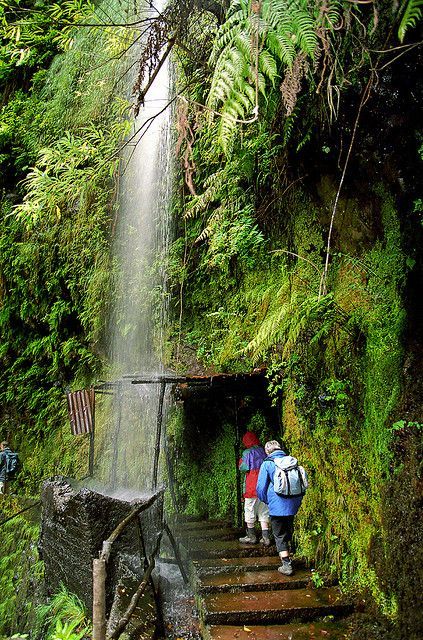 https://mdw-travel-data-us-east-1.s3.amazonaws.com/img/country/Portugal/Levada-Walks/img_02.jpg