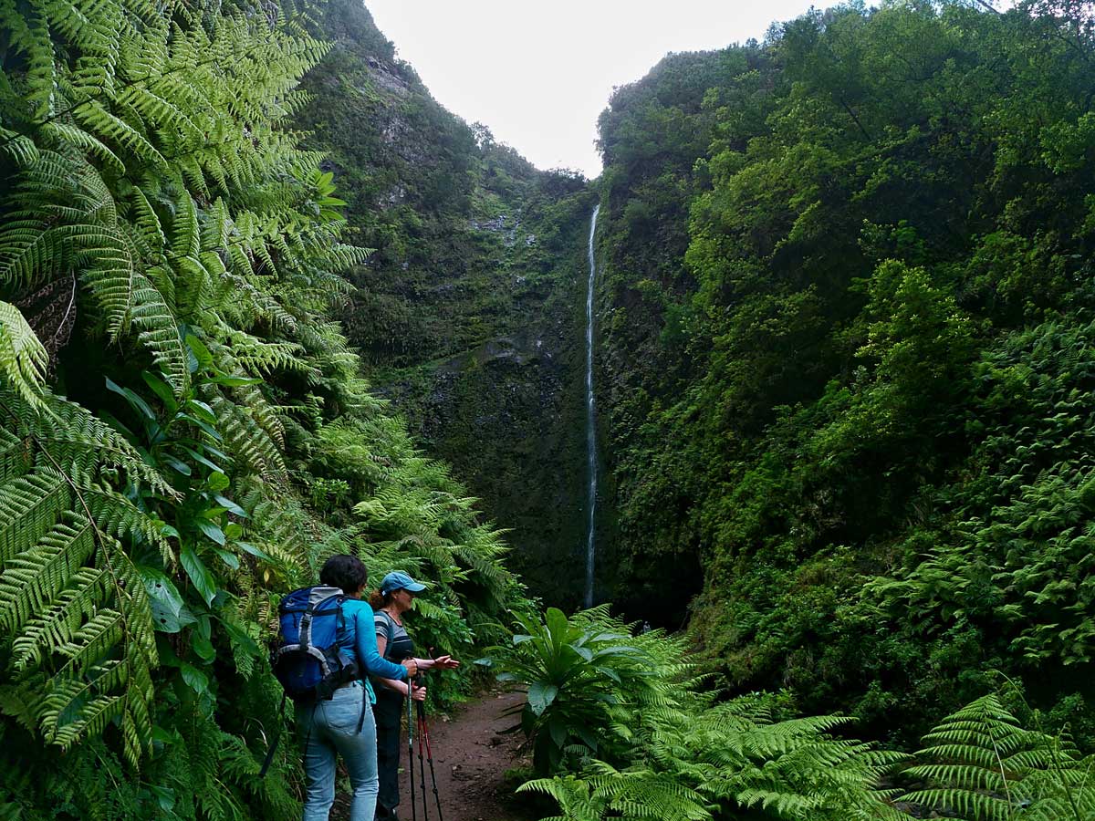 https://mdw-travel-data-us-east-1.s3.amazonaws.com/img/country/Portugal/Levada-do-Caldeirao-Verde/img_03.jpg