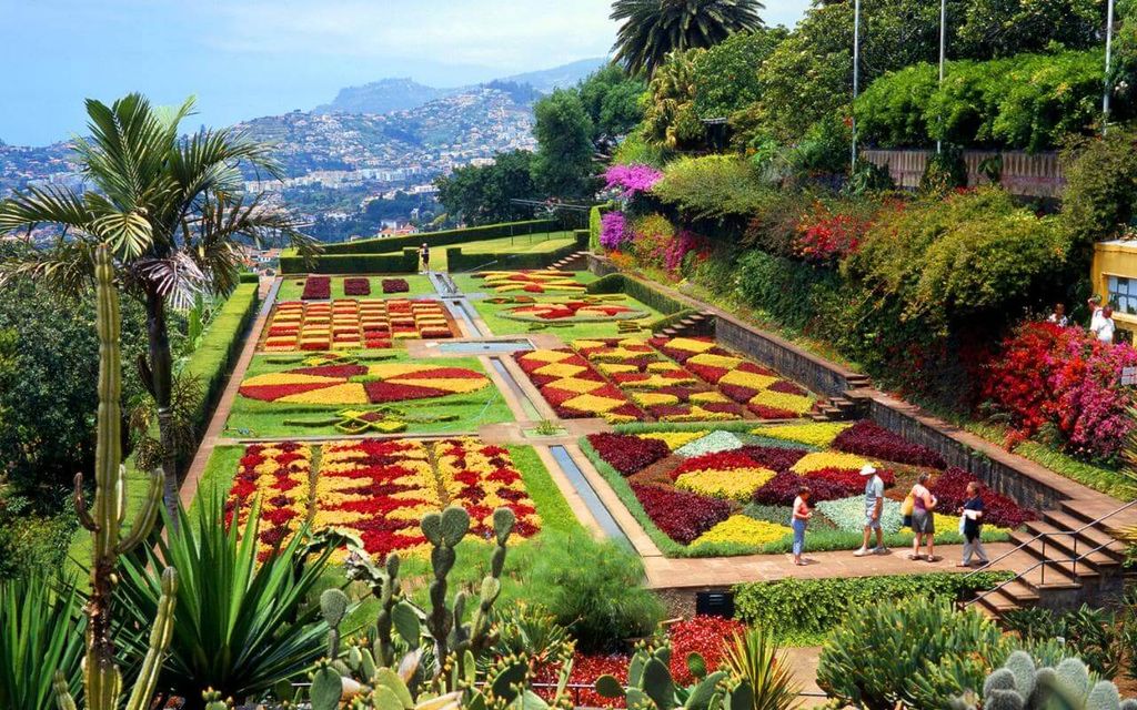 https://mdw-travel-data-us-east-1.s3.amazonaws.com/img/country/Portugal/Madeira-Botanical-Garden/img_01.jpg