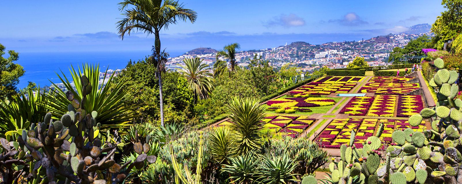 https://mdw-travel-data-us-east-1.s3.amazonaws.com/img/country/Portugal/Madeira-Botanical-Garden/img_02.jpg