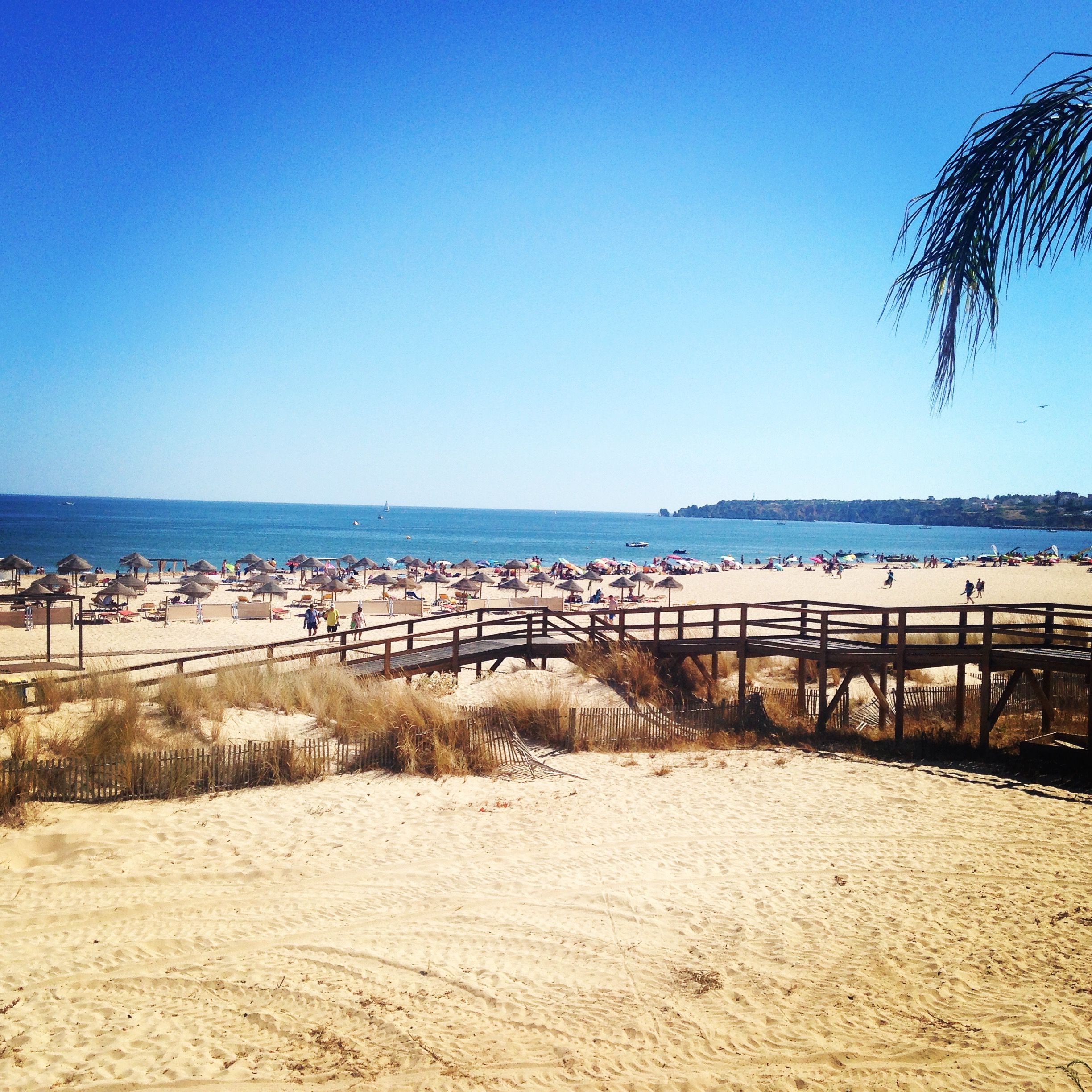 https://mdw-travel-data-us-east-1.s3.amazonaws.com/img/country/Portugal/Meia-Praia-Beach/img_01.jpg
