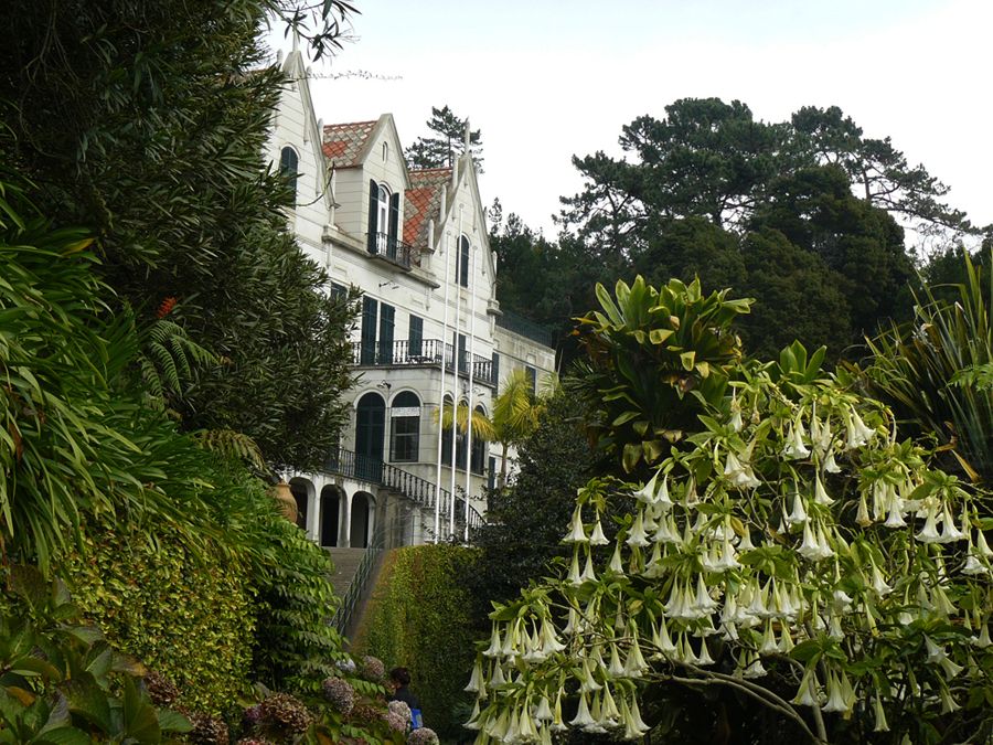 https://mdw-travel-data-us-east-1.s3.amazonaws.com/img/country/Portugal/Monte-Palace-Tropical-Garden/img_02.jpg