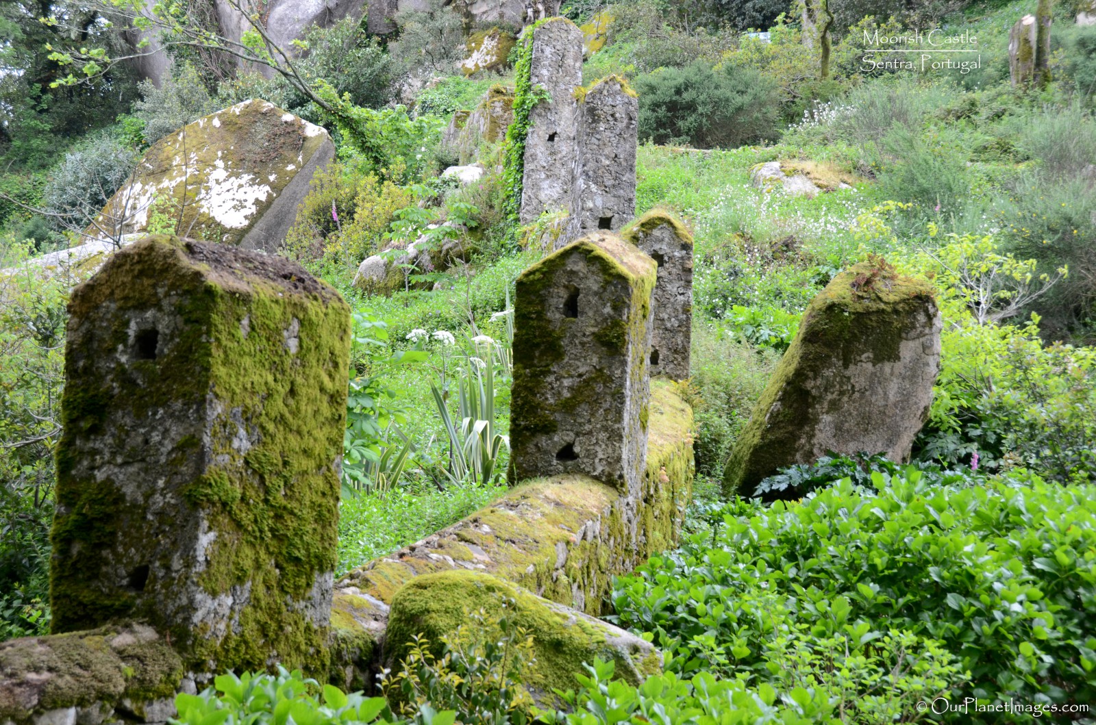 https://mdw-travel-data-us-east-1.s3.amazonaws.com/img/country/Portugal/Moorish-Castle/img_02.jpg