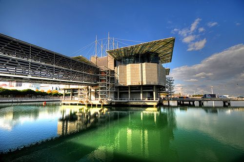 https://mdw-travel-data-us-east-1.s3.amazonaws.com/img/country/Portugal/Oceanario-de-Lisboa/img_02.jpg