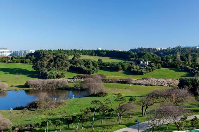 https://mdw-travel-data-us-east-1.s3.amazonaws.com/img/country/Portugal/Palace-of-Matosinhos/img_02.jpg