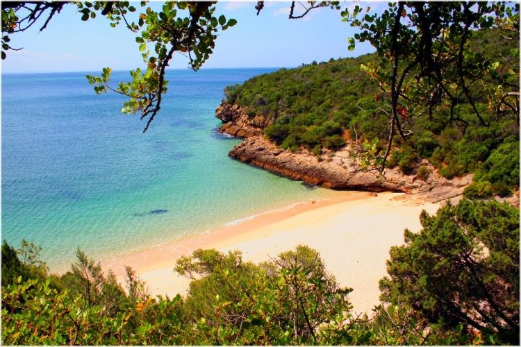 https://mdw-travel-data-us-east-1.s3.amazonaws.com/img/country/Portugal/Praia-de-Coelhos/img_00.jpg