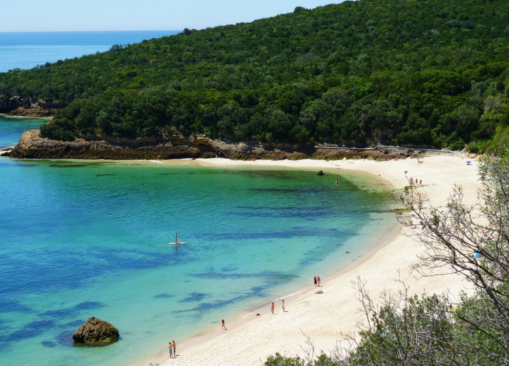 https://mdw-travel-data-us-east-1.s3.amazonaws.com/img/country/Portugal/Praia-de-Galapos/img_00.jpg
