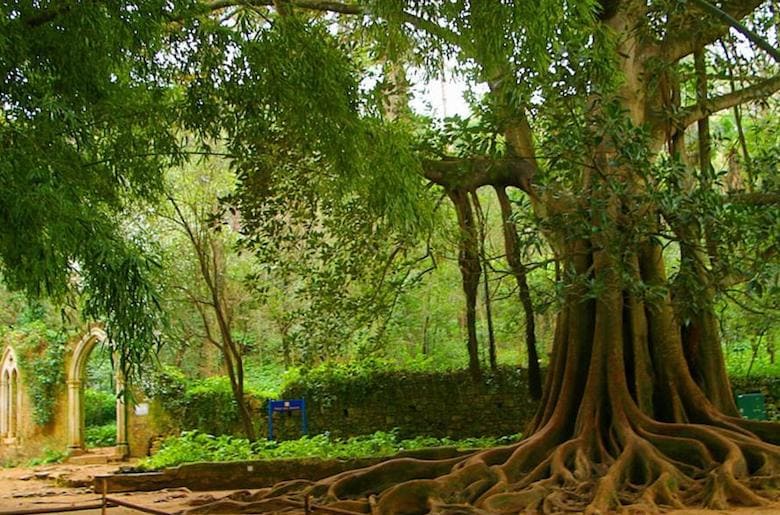 https://mdw-travel-data-us-east-1.s3.amazonaws.com/img/country/Portugal/Quinta-das-Lagrimas/img_01.jpg