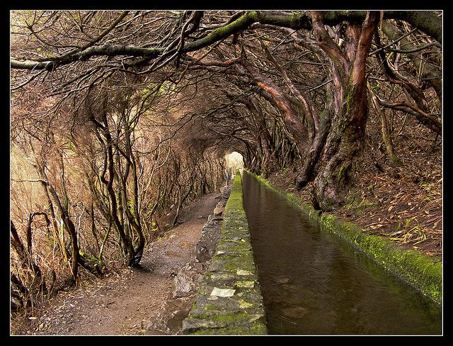 https://mdw-travel-data-us-east-1.s3.amazonaws.com/img/country/Portugal/Rabacal-Waterfalls/img_04.jpg