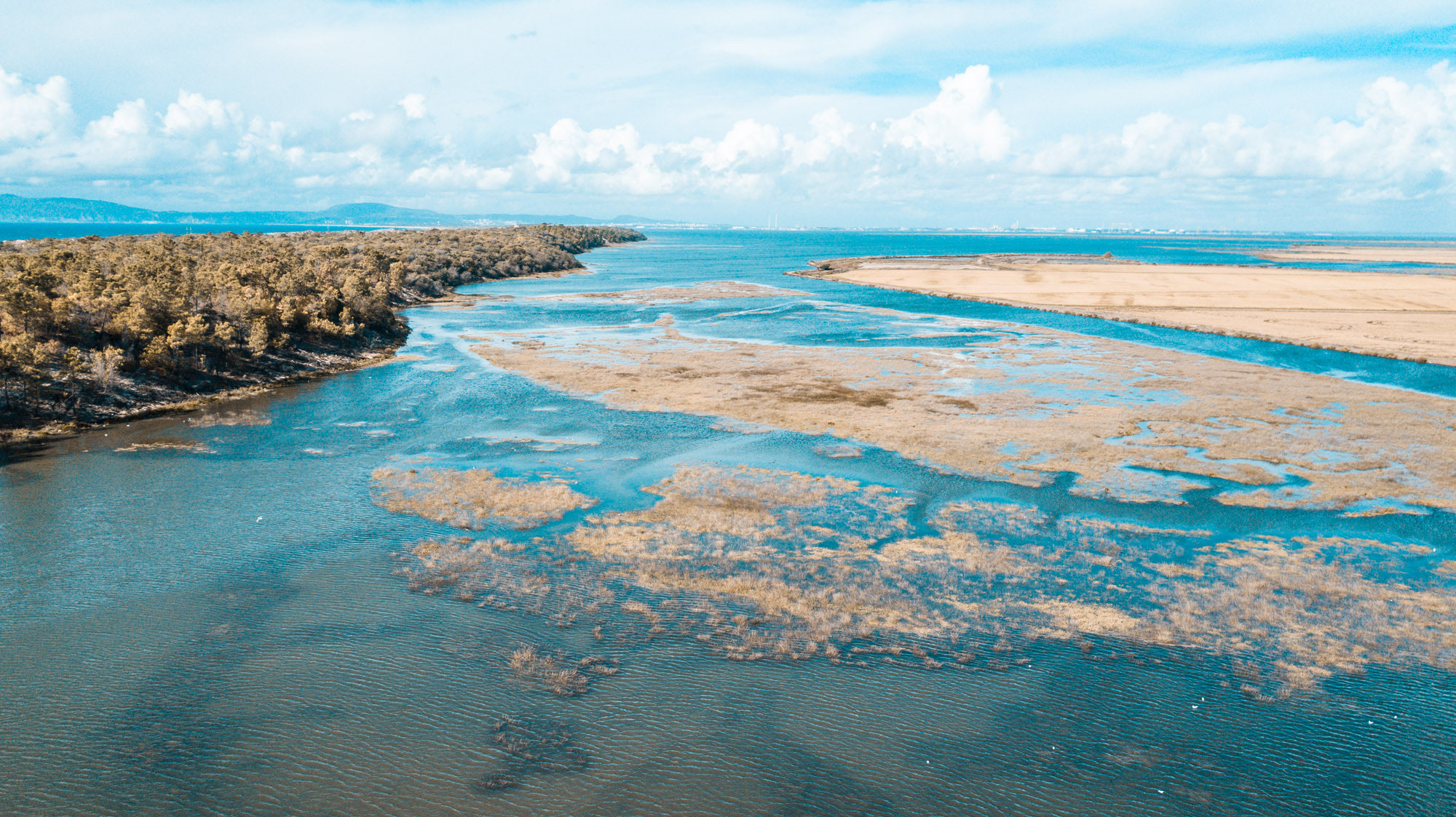 https://mdw-travel-data-us-east-1.s3.amazonaws.com/img/country/Portugal/Reserva-Natural-do-Estuario-do-Sado/img_02.jpg
