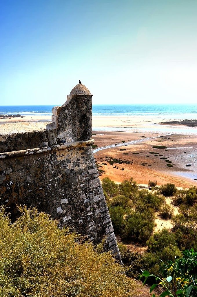 https://mdw-travel-data-us-east-1.s3.amazonaws.com/img/country/Portugal/Ria-Formosa-Natural-Park/img_04.jpg