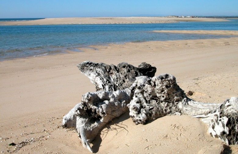 https://mdw-travel-data-us-east-1.s3.amazonaws.com/img/country/Portugal/Ria-Formosa-Natural-Park/img_05.jpg