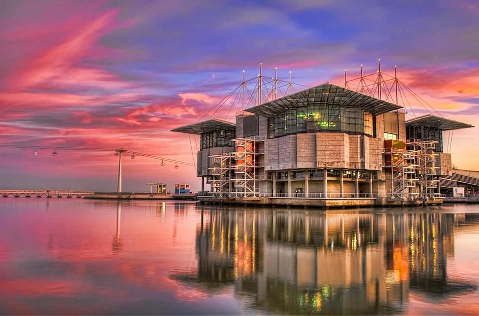 https://mdw-travel-data-us-east-1.s3.amazonaws.com/img/country/Portugal/Santa-Cruz-Oceanarium/img_00.jpg