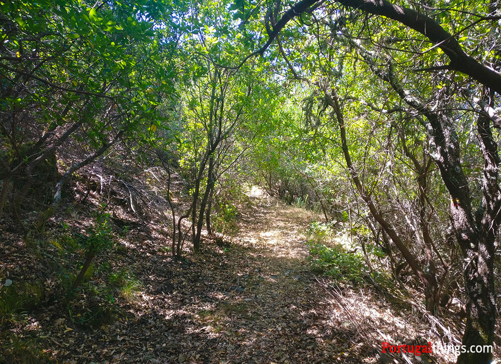 https://mdw-travel-data-us-east-1.s3.amazonaws.com/img/country/Portugal/Serra-da-Malcata/img_01.jpg