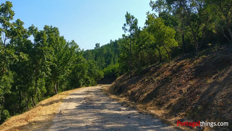 https://mdw-travel-data-us-east-1.s3.amazonaws.com/img/country/Portugal/Serra-da-Malcata/img_03.jpg