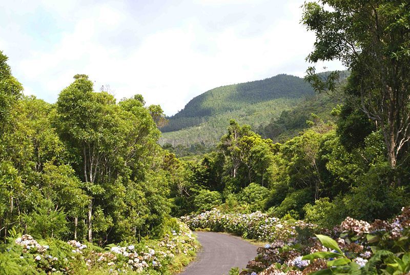https://mdw-travel-data-us-east-1.s3.amazonaws.com/img/country/Portugal/Serra-de-Santa-Barbara/img_02.jpg