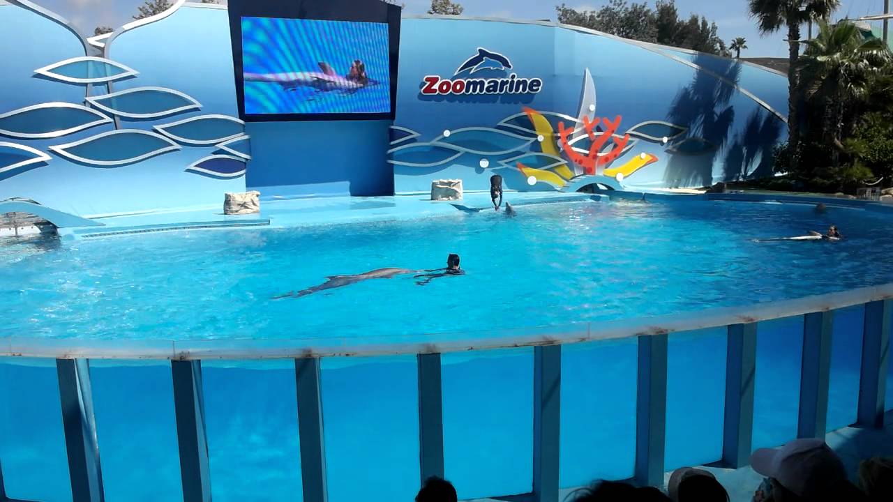 https://mdw-travel-data-us-east-1.s3.amazonaws.com/img/country/Portugal/Zoomarine-Dolphin-Emotions/img_00.jpg