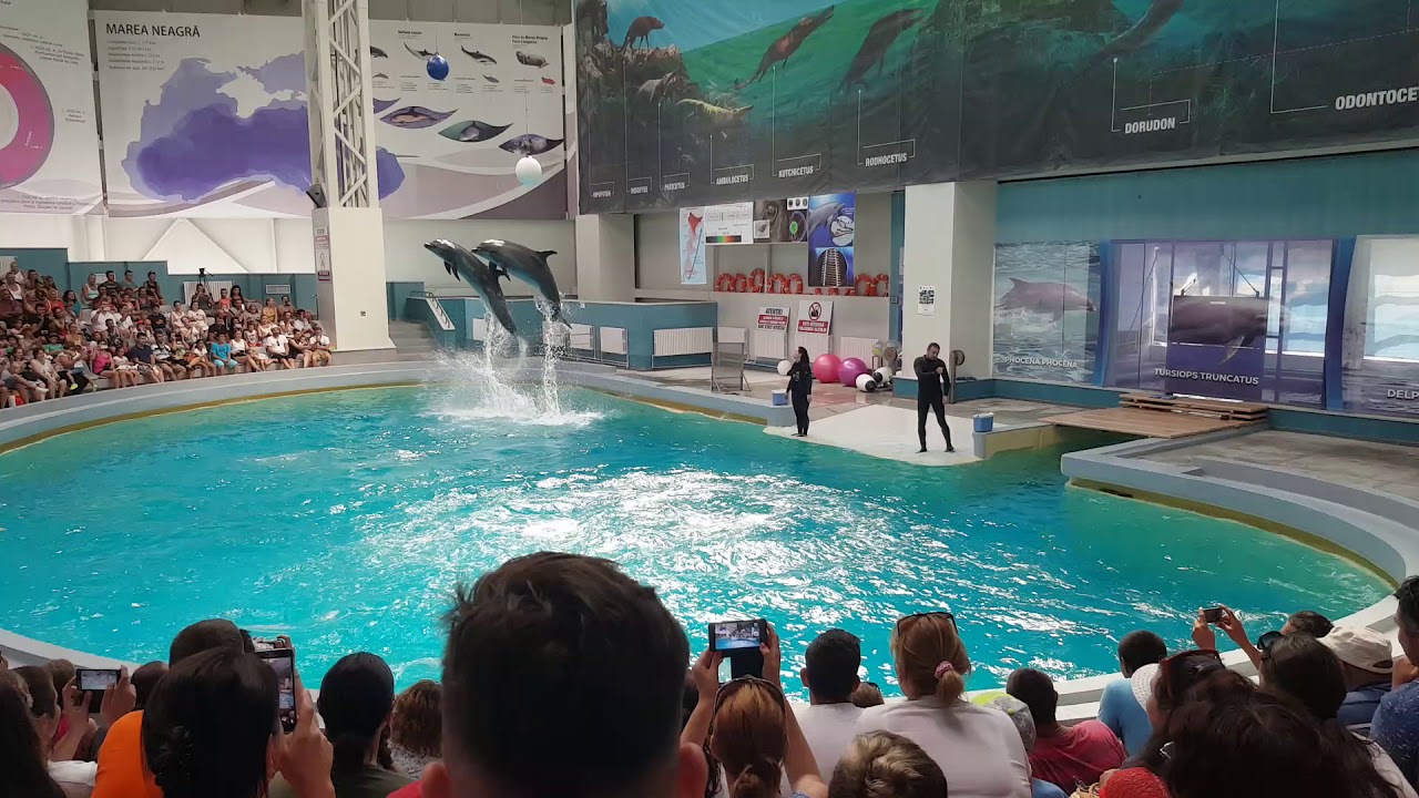 https://mdw-travel-data-us-east-1.s3.amazonaws.com/img/country/Romania/Aquarium/img_02.jpg