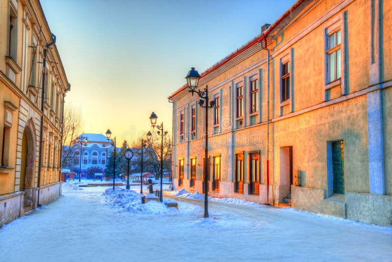 https://mdw-travel-data-us-east-1.s3.amazonaws.com/img/country/Romania/Baia-Mare-Culture-Palace/img_02.jpg