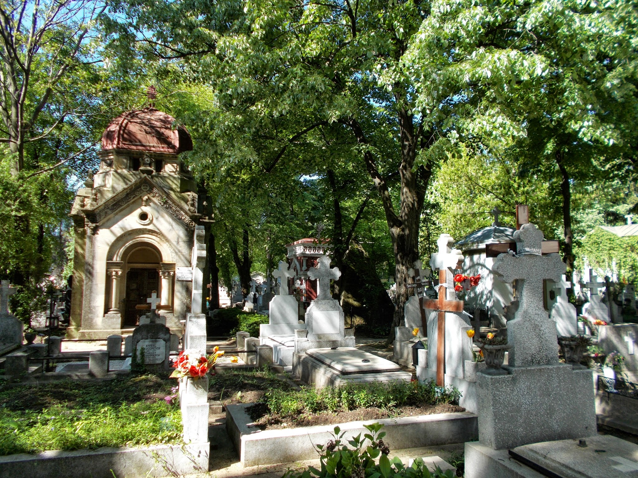 https://mdw-travel-data-us-east-1.s3.amazonaws.com/img/country/Romania/Bellu-Cemetery/img_02.jpg
