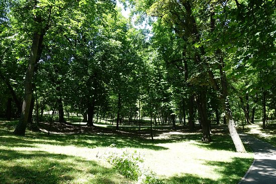 https://mdw-travel-data-us-east-1.s3.amazonaws.com/img/country/Romania/Botanic-Park/img_01.jpg