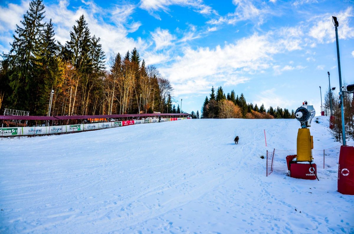 https://mdw-travel-data-us-east-1.s3.amazonaws.com/img/country/Romania/Cavnic-Ski-Resort/img_00.jpg