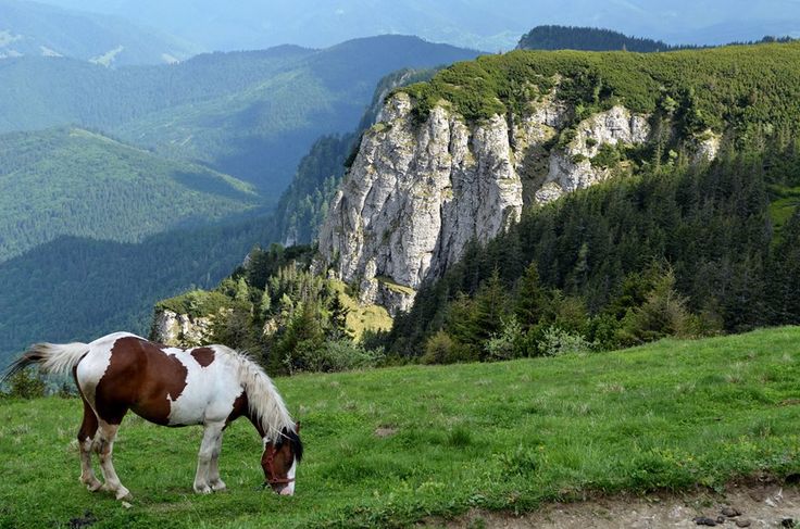https://mdw-travel-data-us-east-1.s3.amazonaws.com/img/country/Romania/Ceahlau-National-Park/img_02.jpg