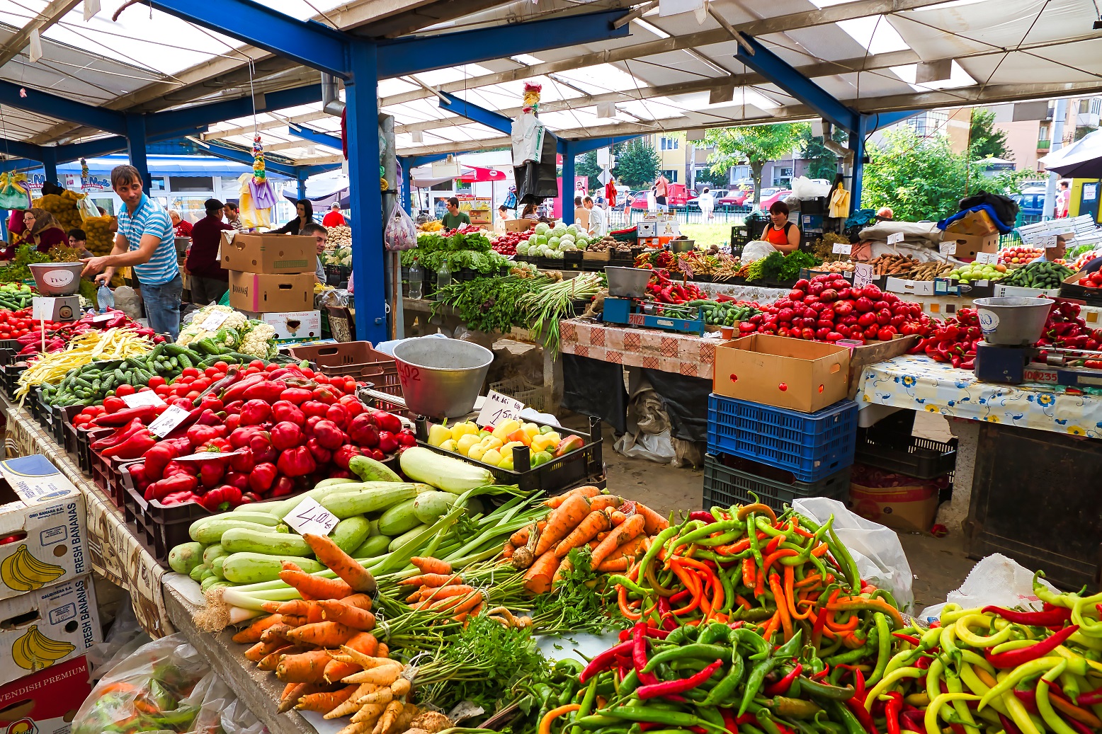 https://mdw-travel-data-us-east-1.s3.amazonaws.com/img/country/Romania/Cibin-Market/img_02.jpg