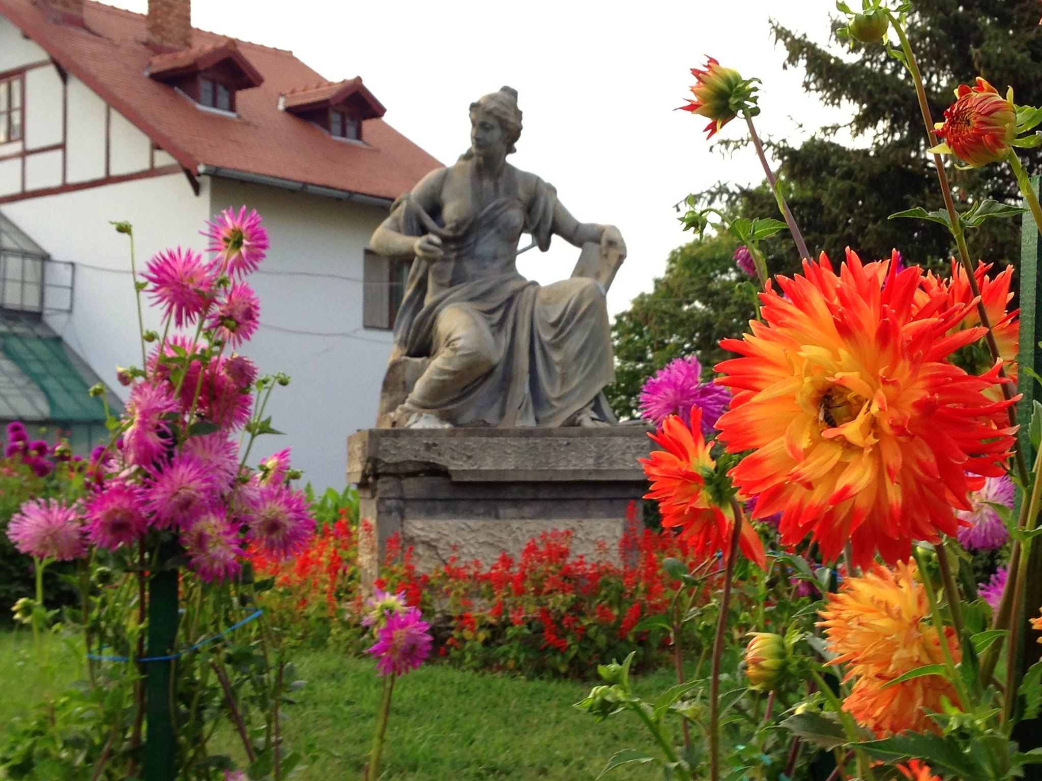 https://mdw-travel-data-us-east-1.s3.amazonaws.com/img/country/Romania/Cluj-Napoca-Botanical-Garden/img_02.jpg