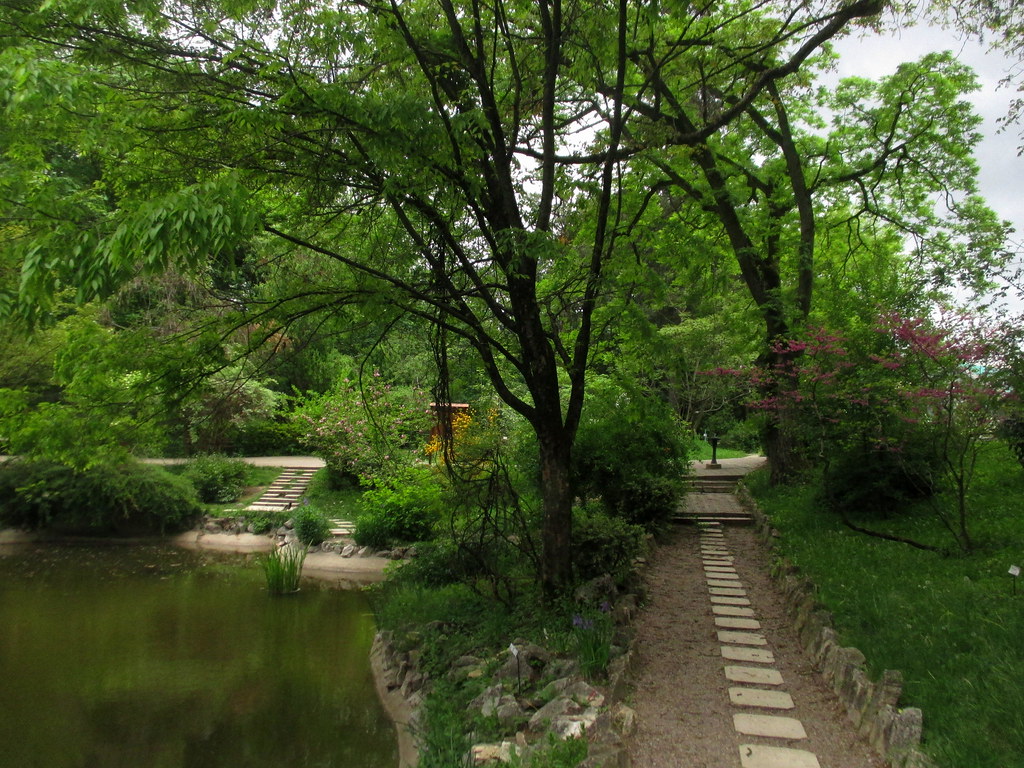 https://mdw-travel-data-us-east-1.s3.amazonaws.com/img/country/Romania/Cluj-Napoca-Botanical-Garden/img_03.jpg