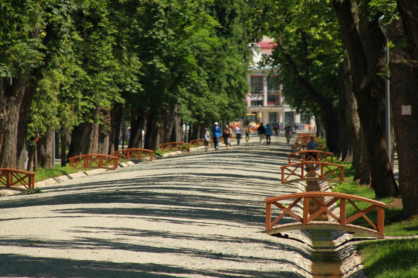 https://mdw-travel-data-us-east-1.s3.amazonaws.com/img/country/Romania/Cluj-Napoca-Central-Park/img_03.jpg