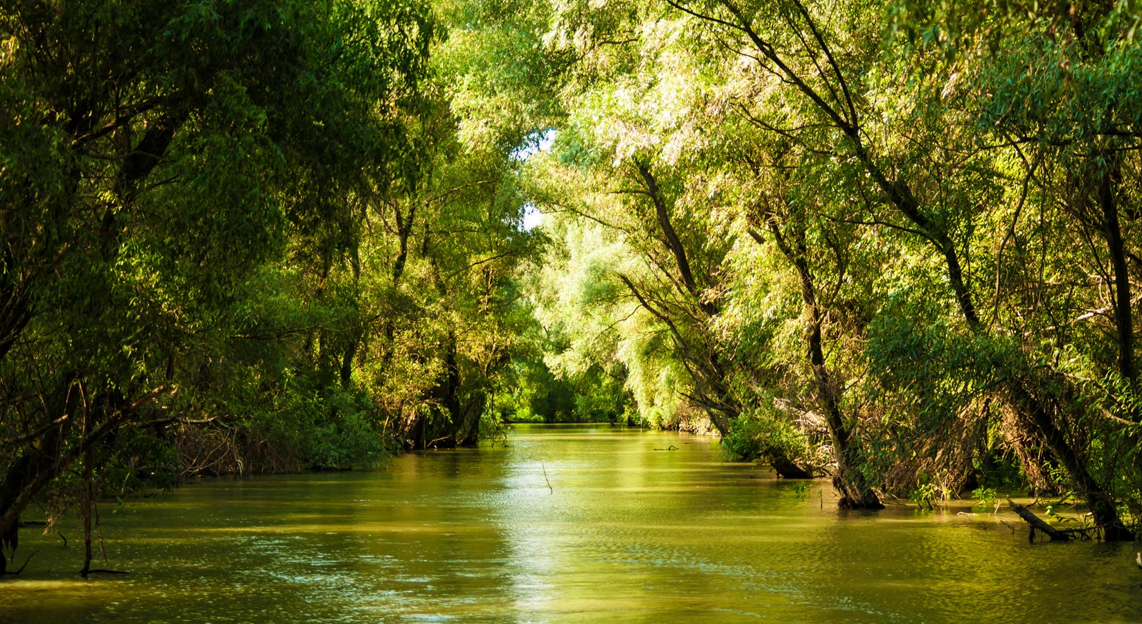 https://mdw-travel-data-us-east-1.s3.amazonaws.com/img/country/Romania/Danube-Delta/img_02.jpg
