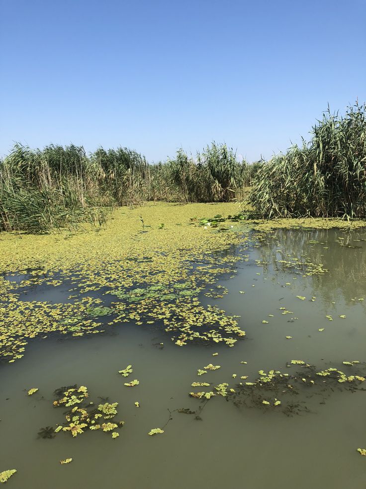 https://mdw-travel-data-us-east-1.s3.amazonaws.com/img/country/Romania/Danube-Delta/img_03.jpg
