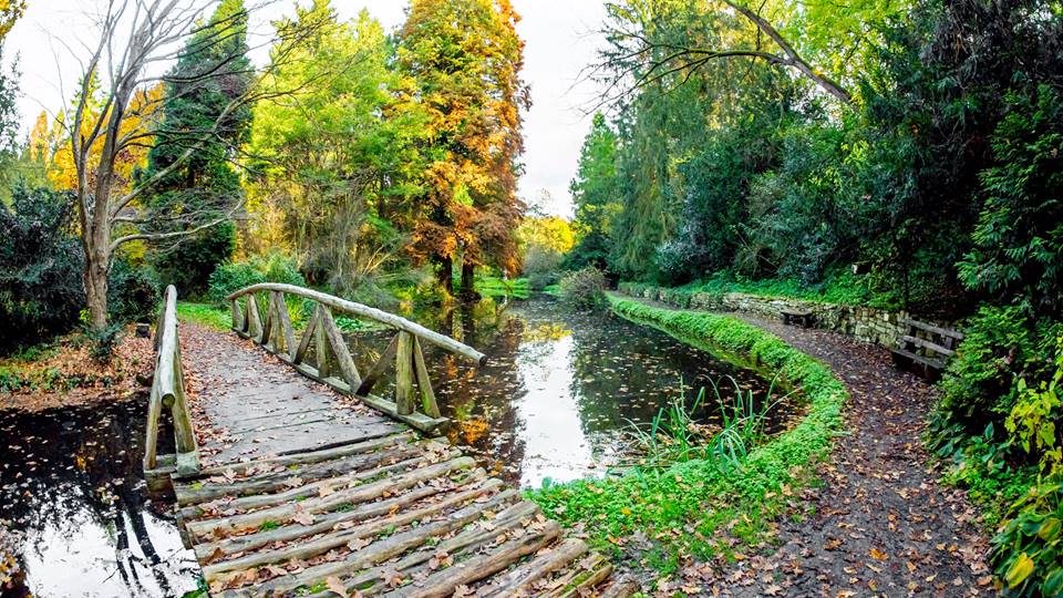 https://mdw-travel-data-us-east-1.s3.amazonaws.com/img/country/Romania/Dendrologic-Park/img_01.jpg