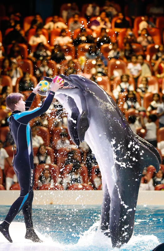 https://mdw-travel-data-us-east-1.s3.amazonaws.com/img/country/Romania/Dolphinarium/img_00.jpg