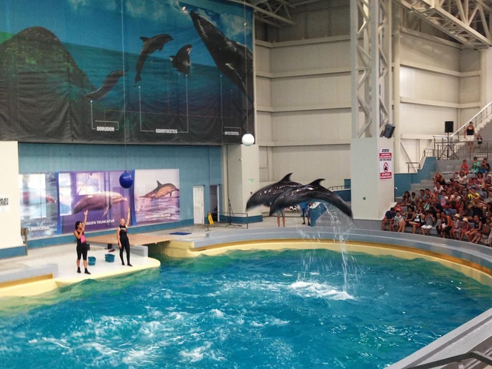 https://mdw-travel-data-us-east-1.s3.amazonaws.com/img/country/Romania/Dolphinarium/img_01.jpg