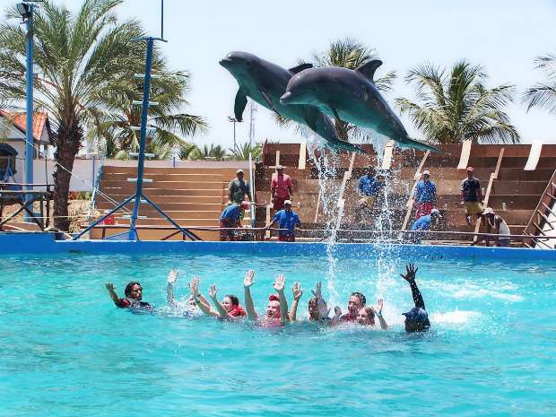 https://mdw-travel-data-us-east-1.s3.amazonaws.com/img/country/Romania/Dolphinarium/img_02.jpg