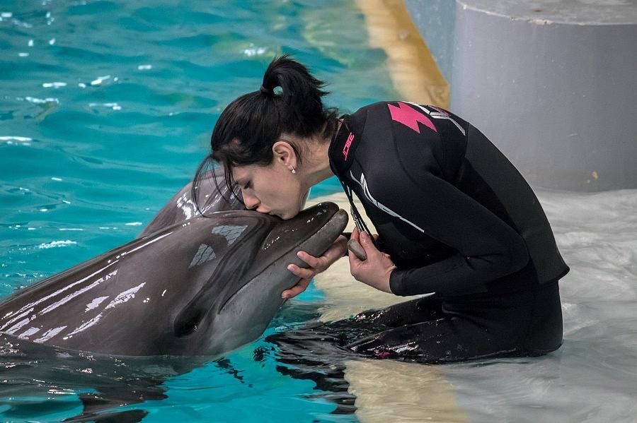 https://mdw-travel-data-us-east-1.s3.amazonaws.com/img/country/Romania/Dolphinarium/img_03.jpg