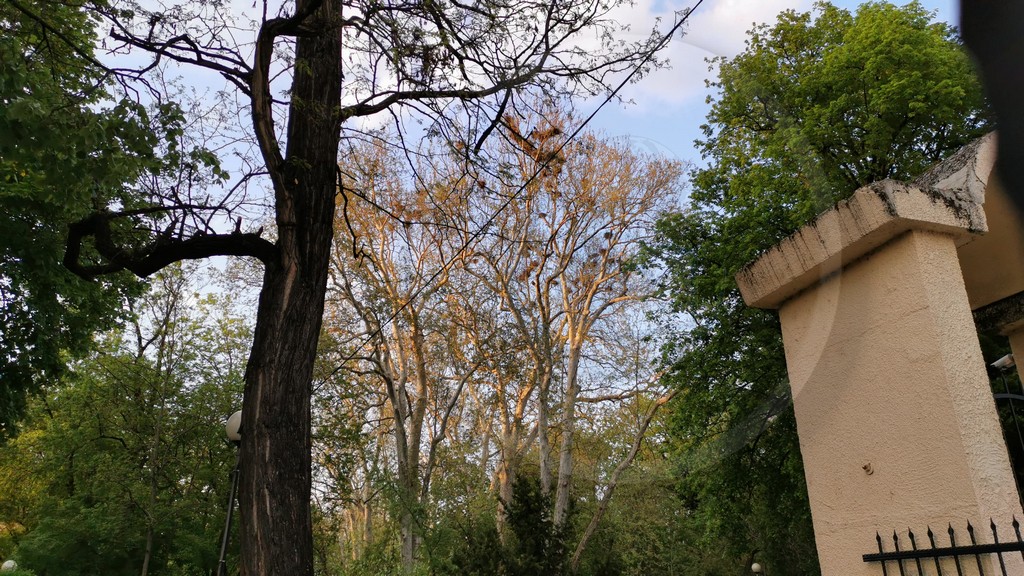 https://mdw-travel-data-us-east-1.s3.amazonaws.com/img/country/Romania/Gradina-Romei-Park/img_03.jpg