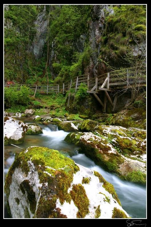 https://mdw-travel-data-us-east-1.s3.amazonaws.com/img/country/Romania/Huda-lui-Papara-Cave/img_03.jpg