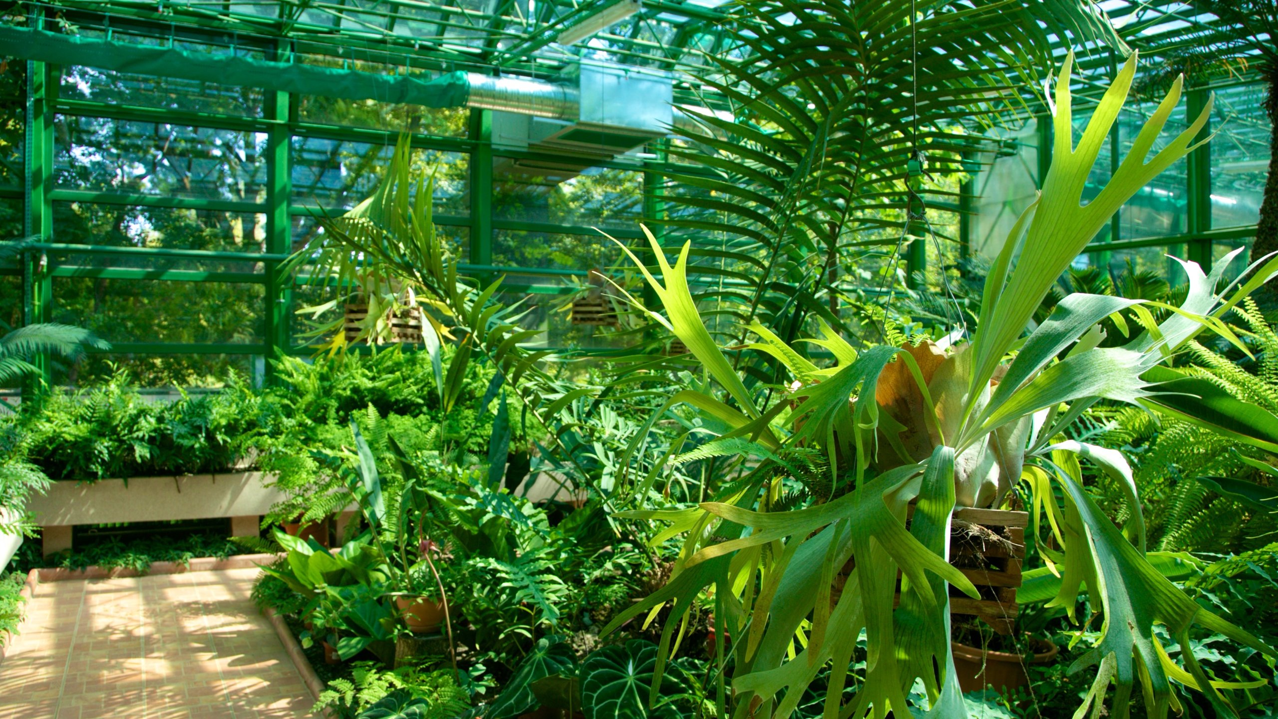 https://mdw-travel-data-us-east-1.s3.amazonaws.com/img/country/Romania/Iasi-Botanical-Garden/img_02.jpg