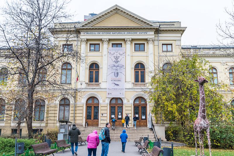 https://mdw-travel-data-us-east-1.s3.amazonaws.com/img/country/Romania/Museum-of-Natural-History/img_02.jpg
