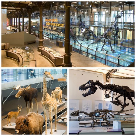 https://mdw-travel-data-us-east-1.s3.amazonaws.com/img/country/Romania/Natural-Sciences-Museum-Complex/img_01.jpg