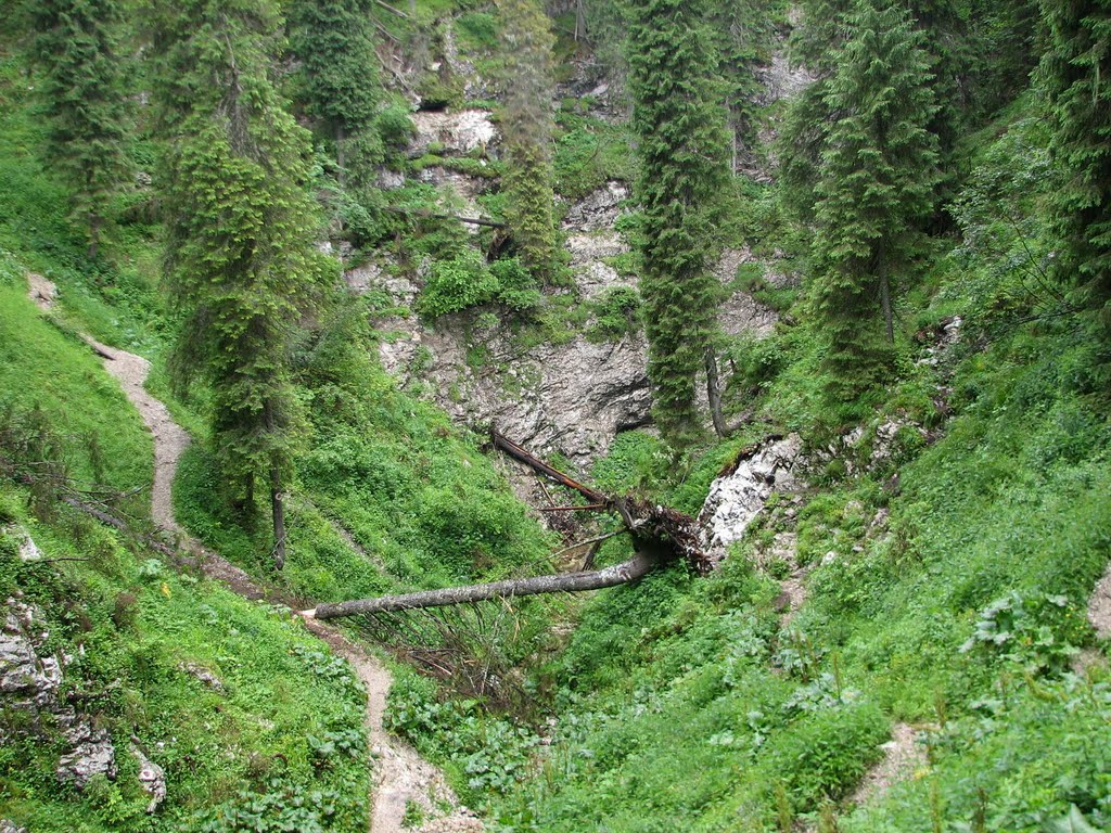 https://mdw-travel-data-us-east-1.s3.amazonaws.com/img/country/Romania/Padis-Karst-Plateau/img_01.jpg
