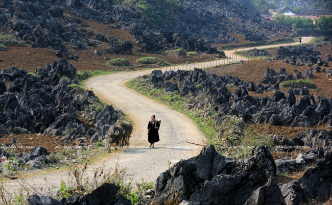 https://mdw-travel-data-us-east-1.s3.amazonaws.com/img/country/Romania/Padis-Karst-Plateau/img_02.jpg