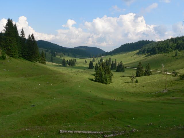 https://mdw-travel-data-us-east-1.s3.amazonaws.com/img/country/Romania/Padis-Plateau/img_02.jpg